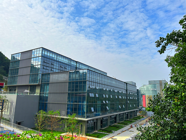 Guangzhou Caidexingmao Curtain Wall